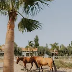 Quinta Do Pinheiro E Eventos By Grupo Quinta Dos Lagos Ξενοδοχείο Valado de Frades