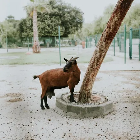 Quinta Do Pinheiro E Eventos By Grupo Quinta Dos Lagos 4* Valado de Frades