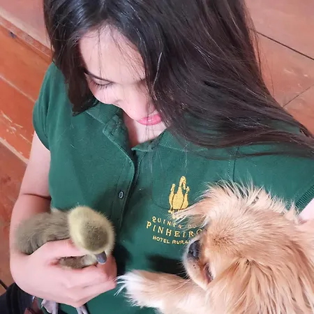 Hotel Quinta Do Pinheiro E Eventos By Grupo Quinta Dos Lagos 4*