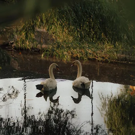 Quinta Do Pinheiro E Eventos By Grupo Quinta Dos Lagos Valado de Frades