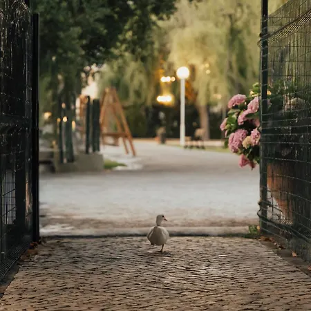 Quinta Do Pinheiro E Eventos By Grupo Quinta Dos Lagos Hotel Valado de Frades