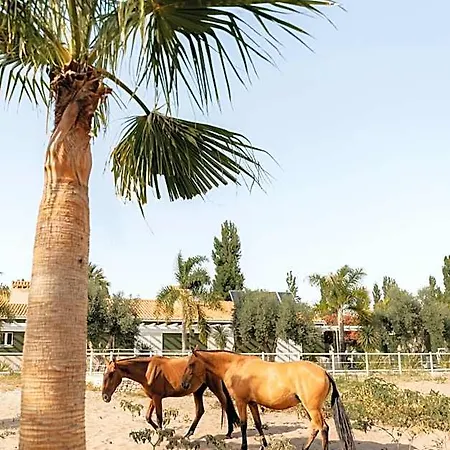 Quinta Do Pinheiro E Eventos By Grupo Quinta Dos Lagos