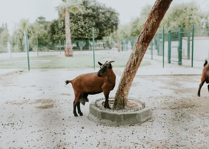 Quinta Do Pinheiro E Eventos By Grupo Quinta Dos Lagos 4* Valado de Frades