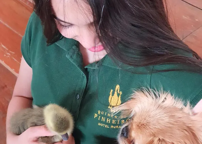 Hotel Quinta Do Pinheiro E Eventos By Grupo Quinta Dos Lagos 4*