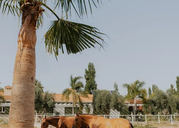 Quinta Do Pinheiro E Eventos By Grupo Quinta Dos Lagos Hotel Valado de Frades