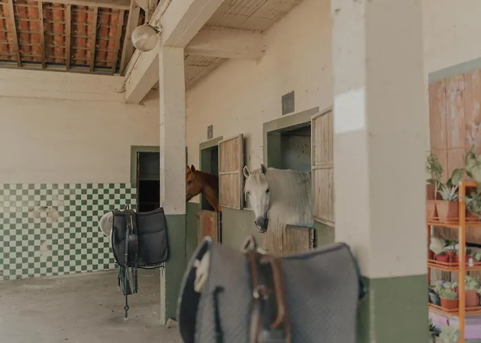 Quinta Do Pinheiro E Eventos By Grupo Quinta Dos Lagos Valado de Frades