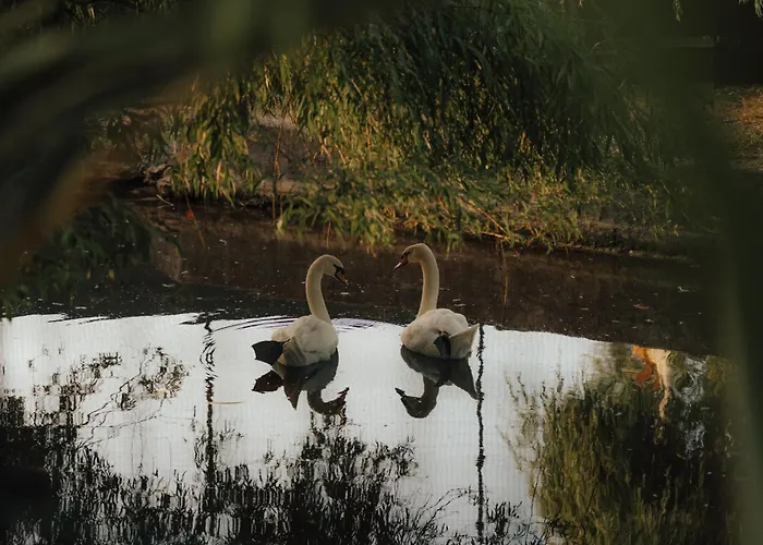Quinta Do Pinheiro E Eventos By Grupo Quinta Dos Lagos Valado de Frades