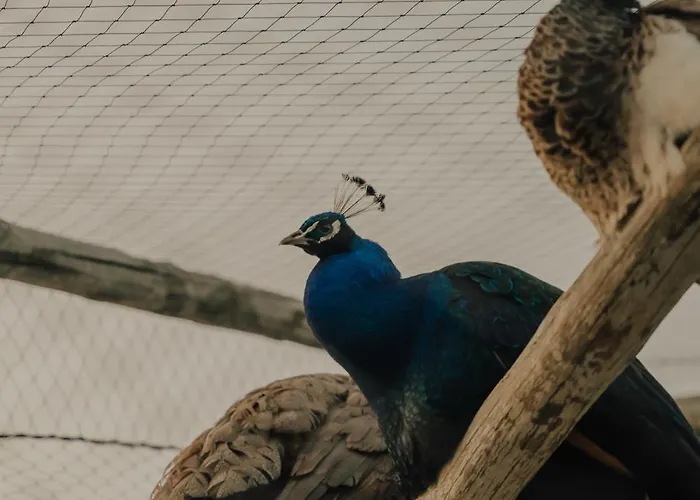 Quinta Do Pinheiro E Eventos By Grupo Quinta Dos Lagos Hotel